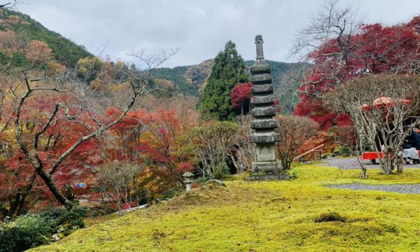 京都-白龍園-